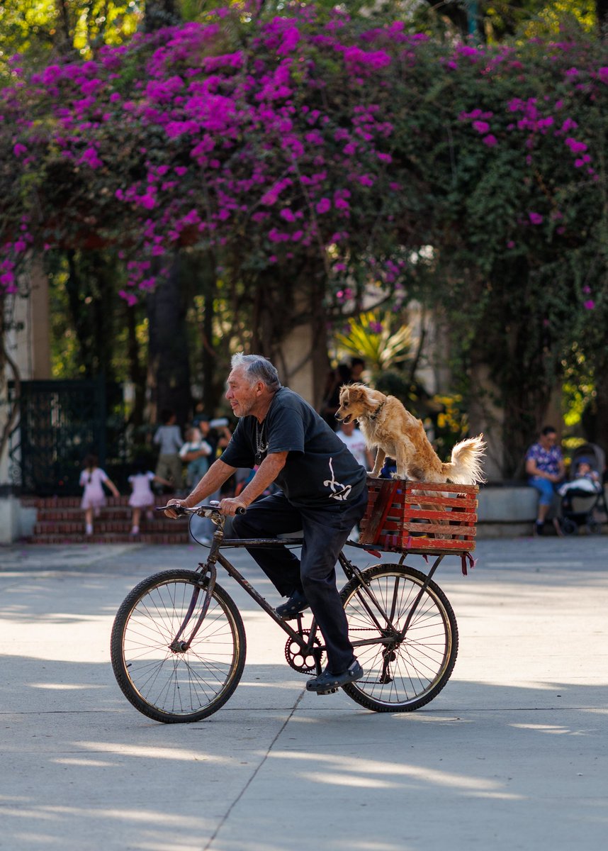 Pablo Ramos tweet media