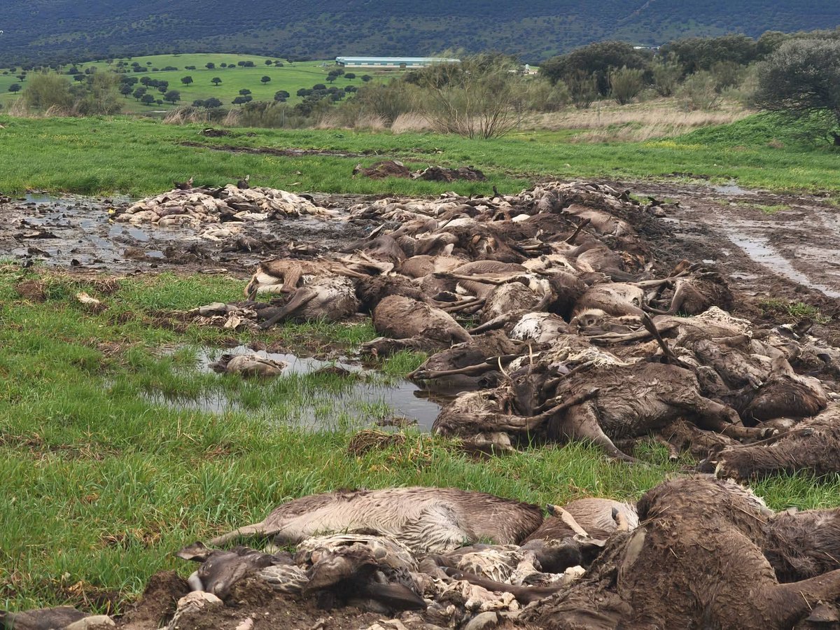 ⅃ɵ෴eL🪶 tweet media