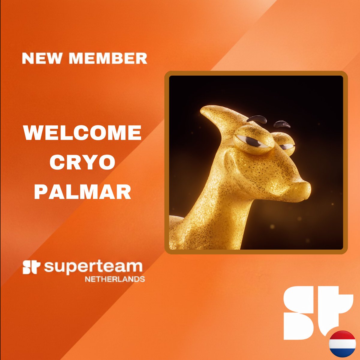 Superteam Netherlands tweet media