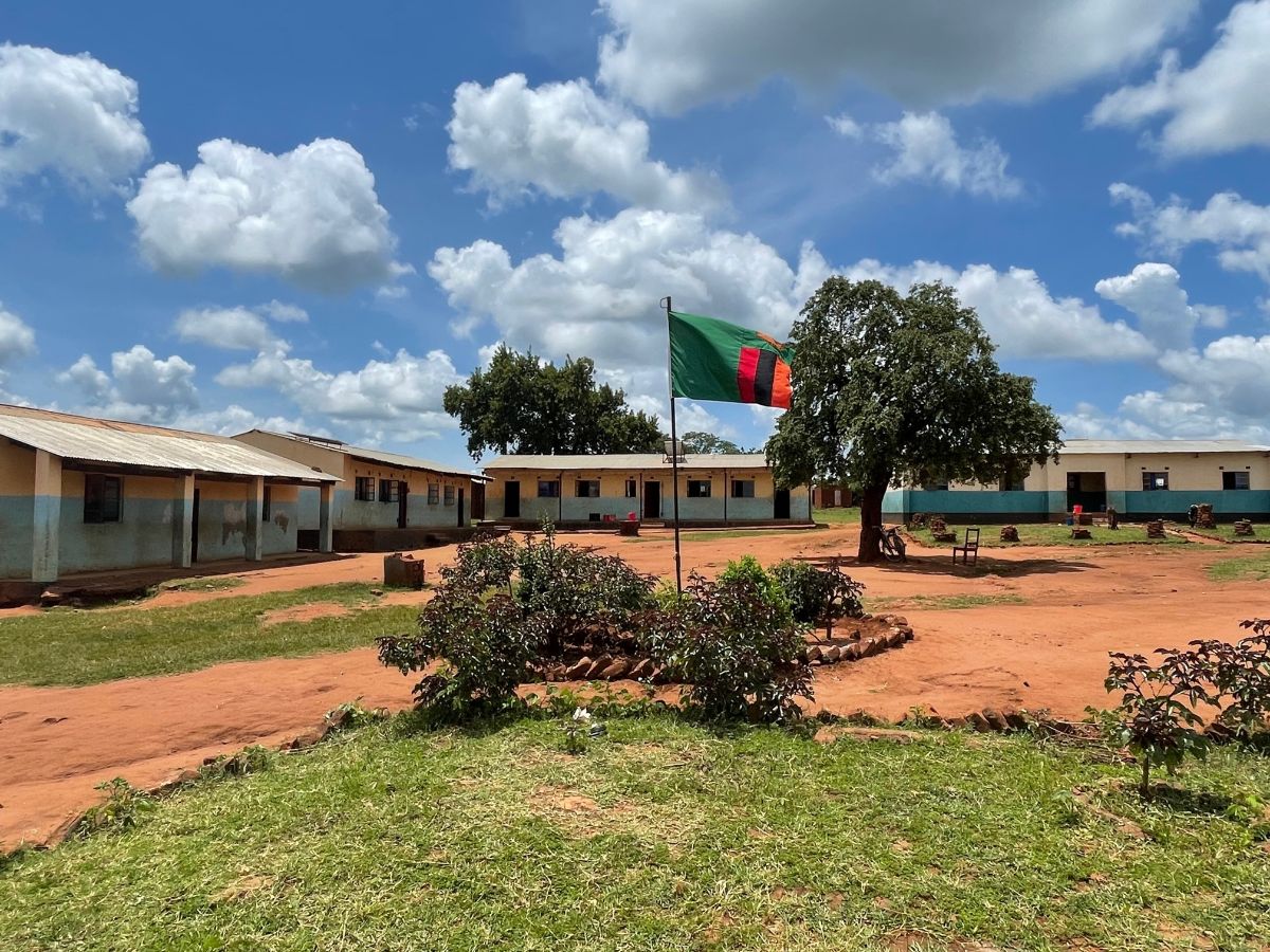 Impact Network tweet media