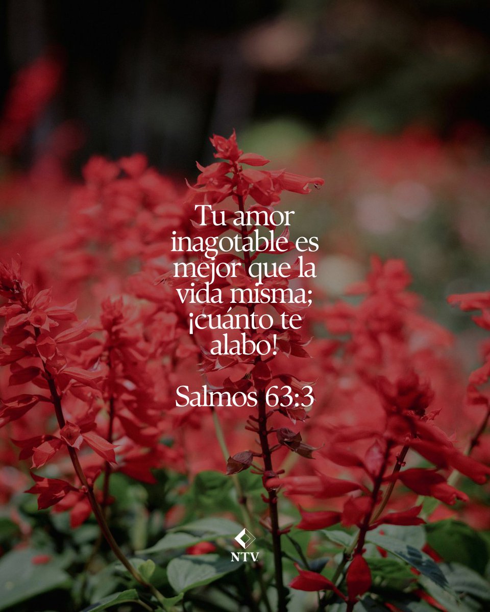 BibliaNTV's tweet photo. Este versículo bíblico expresa una verdad profunda: el amor de Dios es mejor que cualquier cosa en esta vida. La Biblia nos invita a valorar lo eterno por encima de lo temporal.
#AmordeDios #Biblia #NTV #versiculos #VidaCristiana #Fe https://t.co/KiFGWKrjas