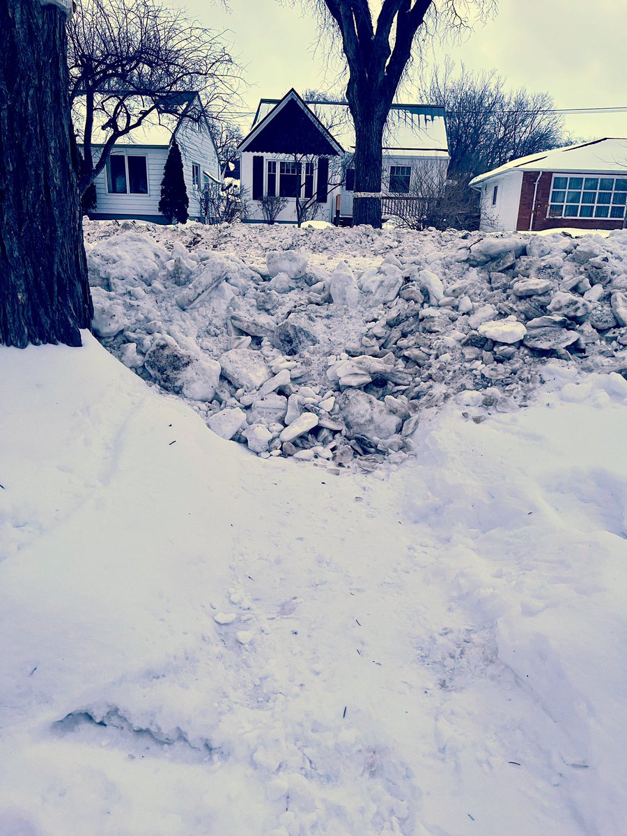 Umut Oğuzoğlu tweet media