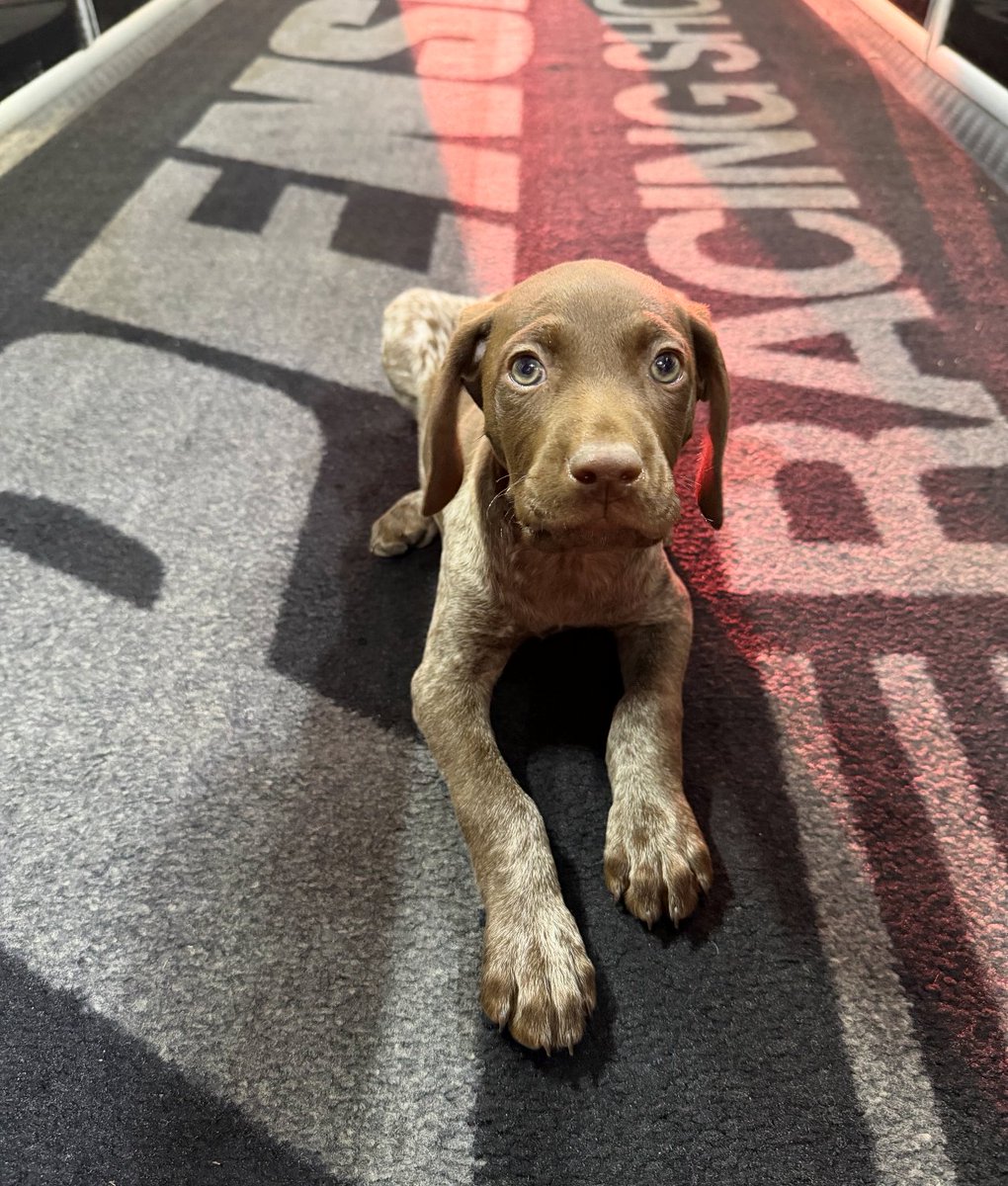 Penske Racing Shocks tweet media