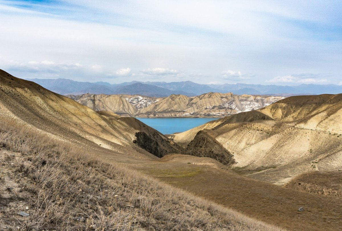 Alabama Water Institute tweet media