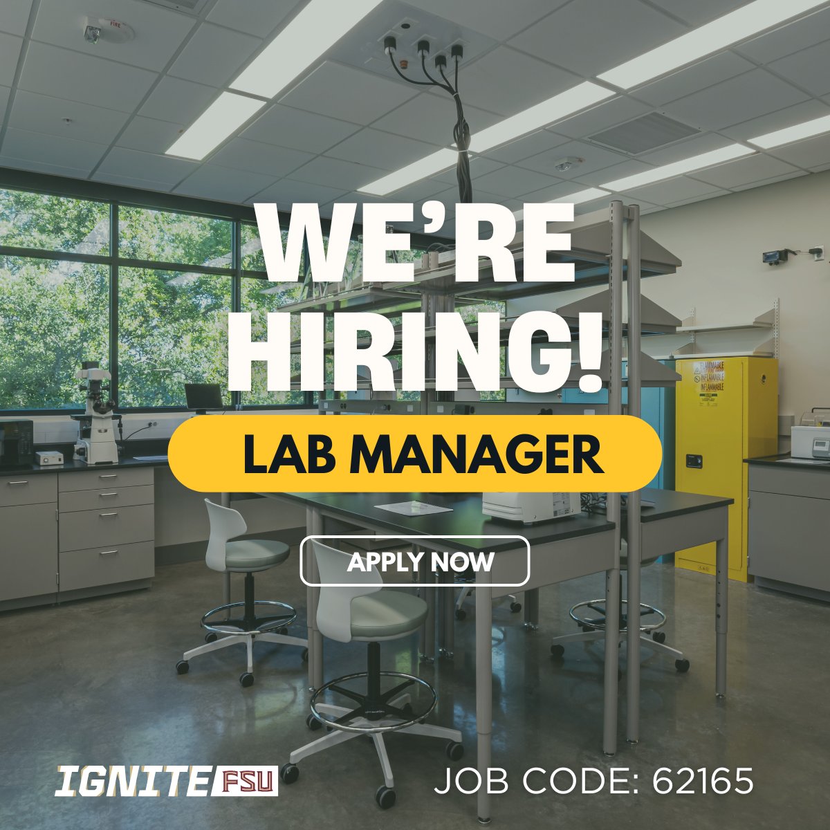 IGNITE FSU tweet media