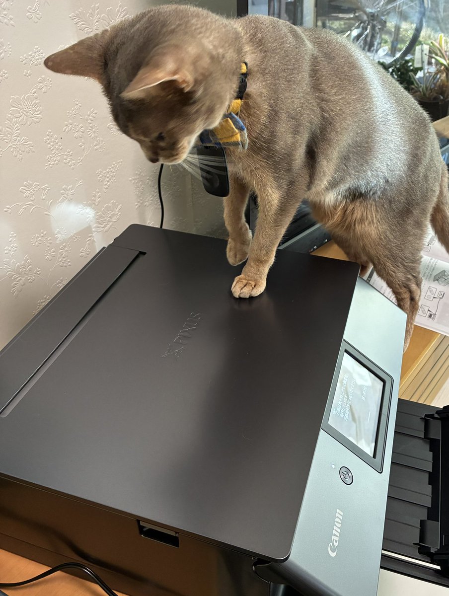 我が家のプリンターを入れ替え。 エプソンのEP-808AWからキヤノンの