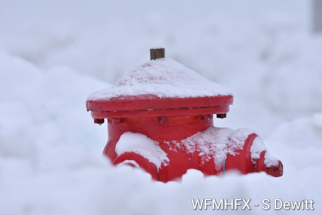 HfxMda's tweet photo. (Utility) Halifax Water is advising residents that the snowfall over the past several weeks may be blocking hydrants #hfxtraffic 

** Release

https://t.co/5zEluJJq9x https://t.co/WhVEraxz4X