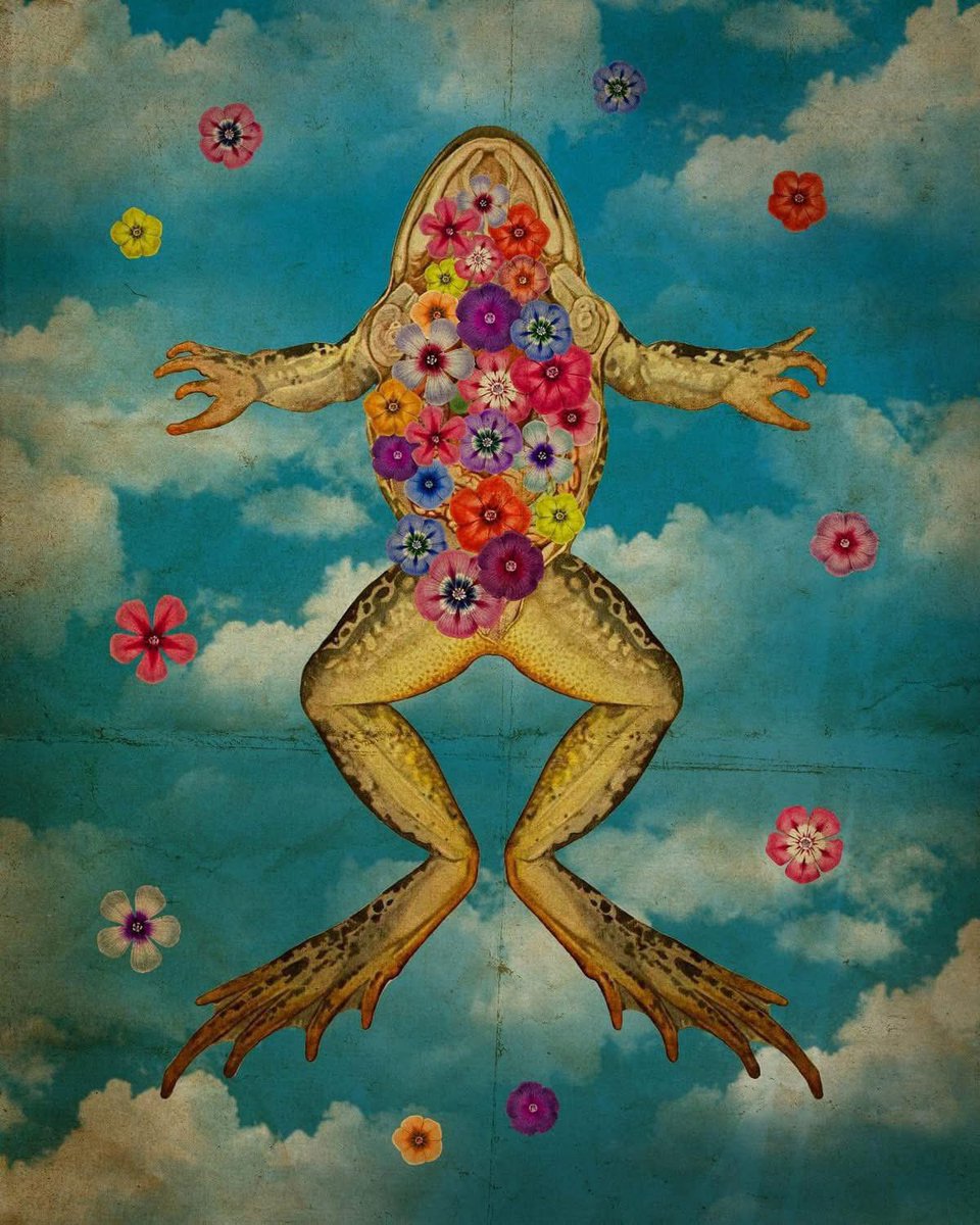 Jolene Casko tweet media