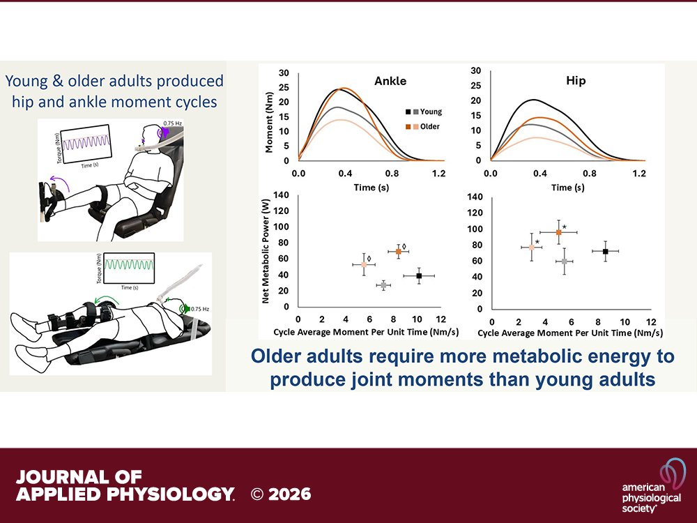 japplphysiol's tweet image. Short Report by B Alanis et al. (@Owen1Beck @Neginfh @utexascoe @UTexasKHE) Older adults produce #joint moments less economically than young adults 🦵💪
ow.ly/Qipr50YfmZT