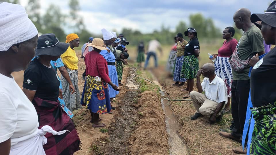 Zimbabwe Land and Agrarian Network tweet media