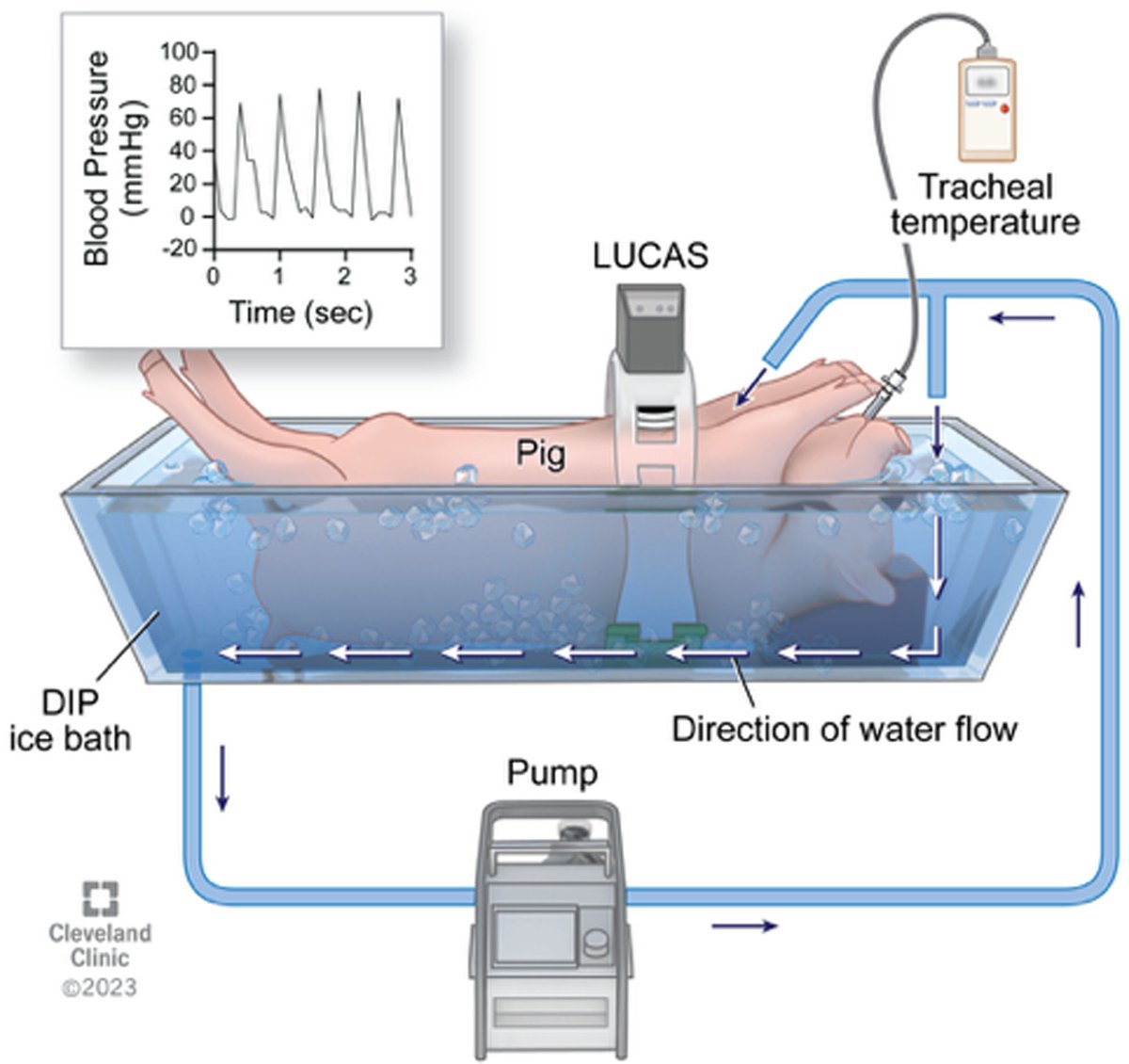 TransplantDirect tweet media