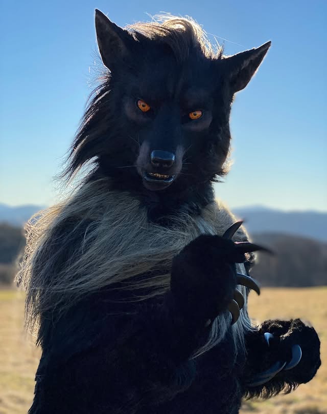 Shaqualhound tweet media