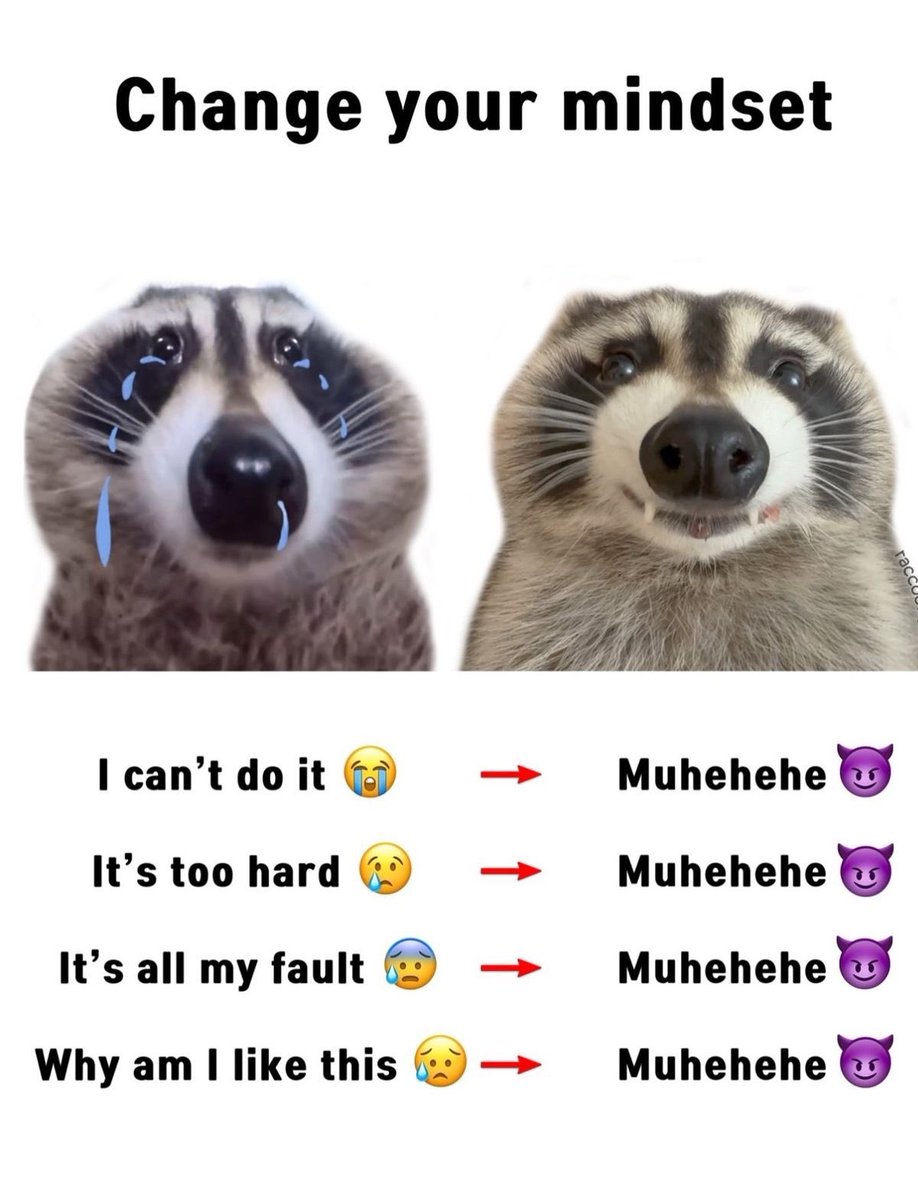 Low Calorie Recipes tweet media