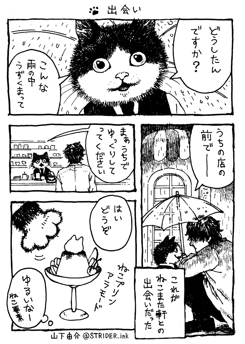 ✑山下由介♕ tweet media