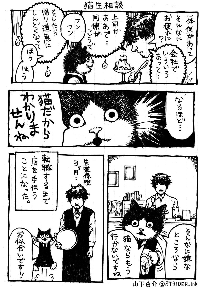 ✑山下由介♕ tweet media