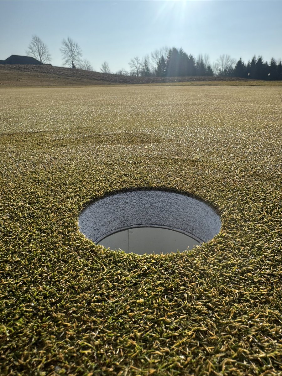 Dan Grogan tweet media