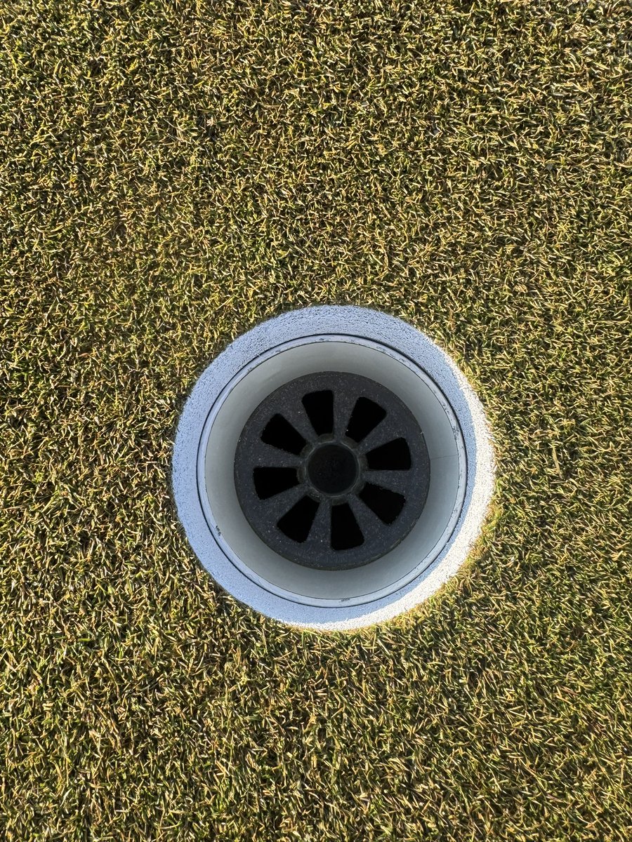 Dan Grogan tweet media