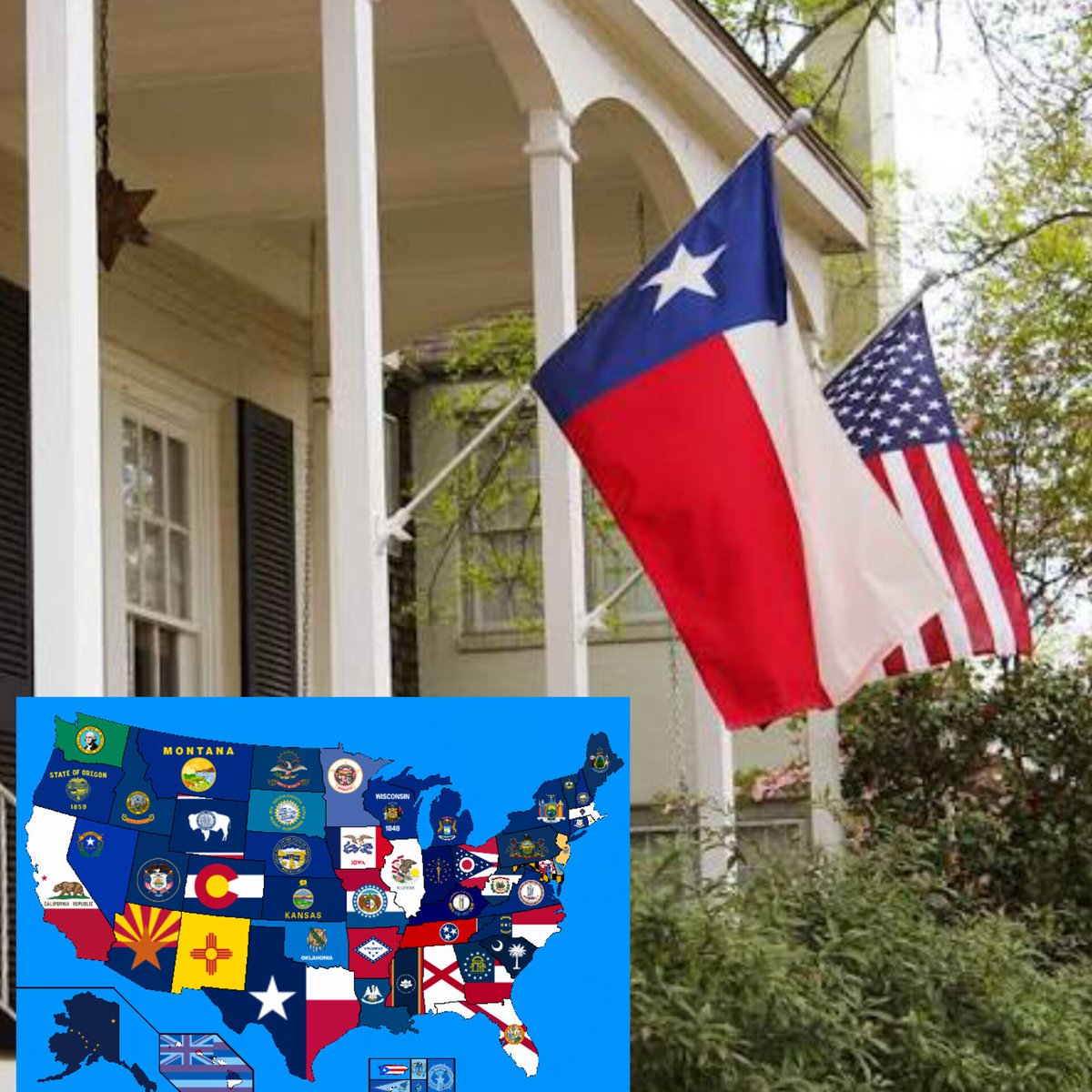 آیلین tweet media