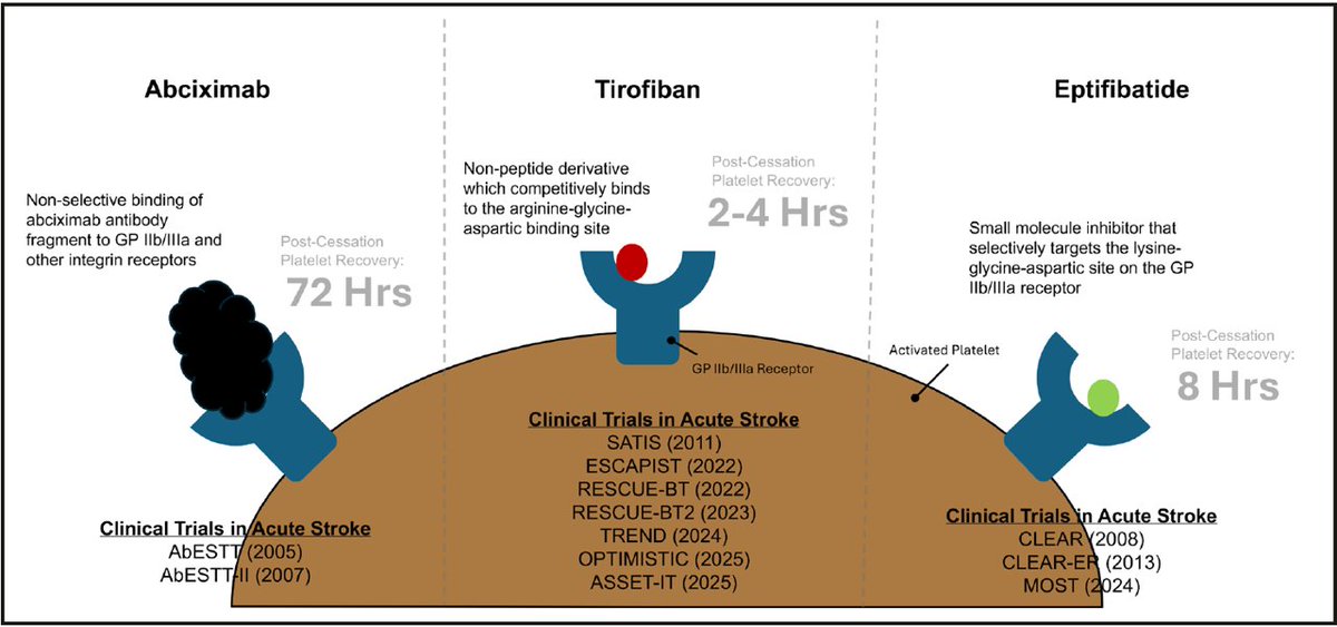 Aravind Ganesh tweet media