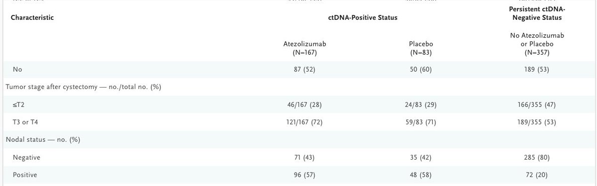 Max Kates tweet media