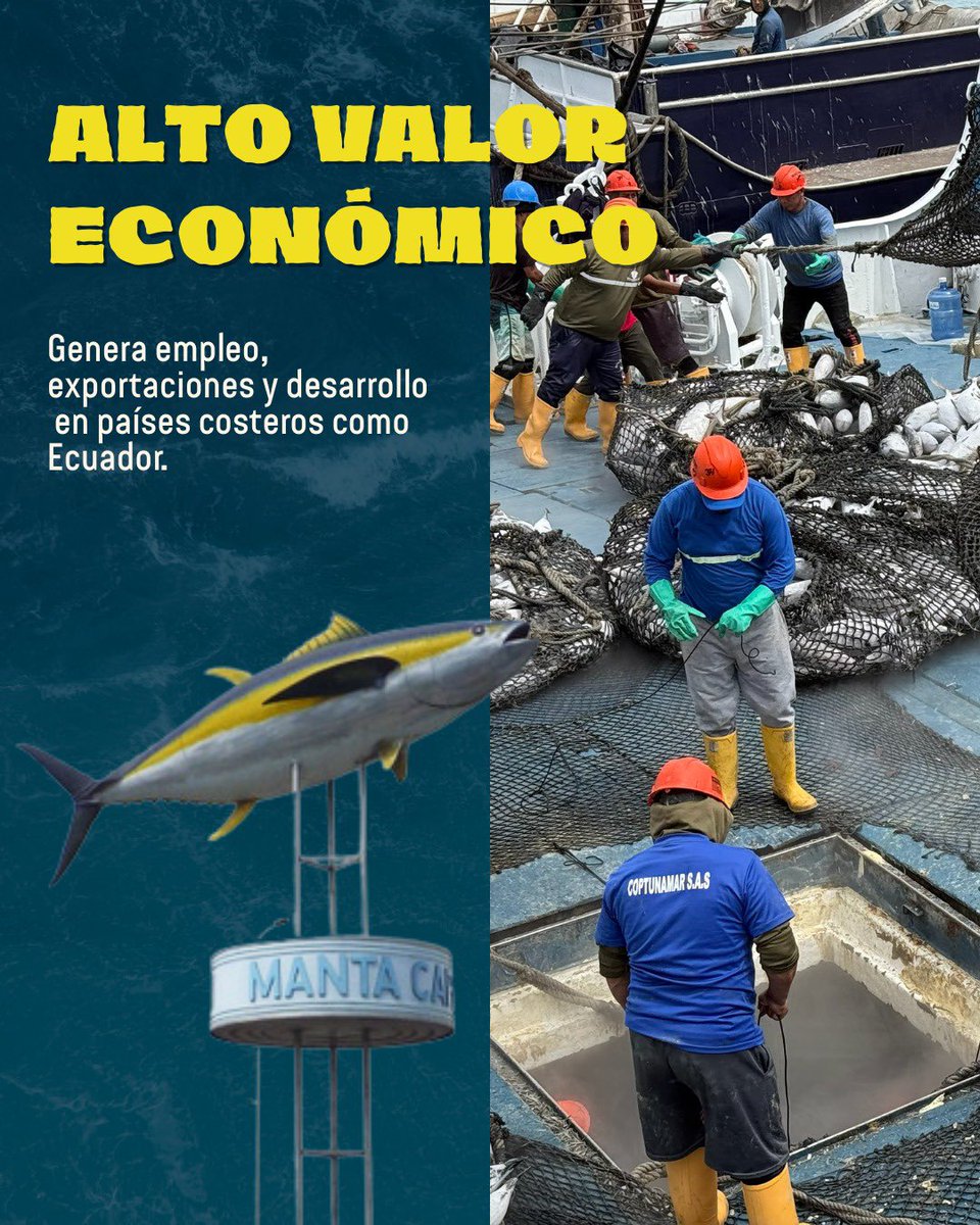 ATUNEC EC tweet media