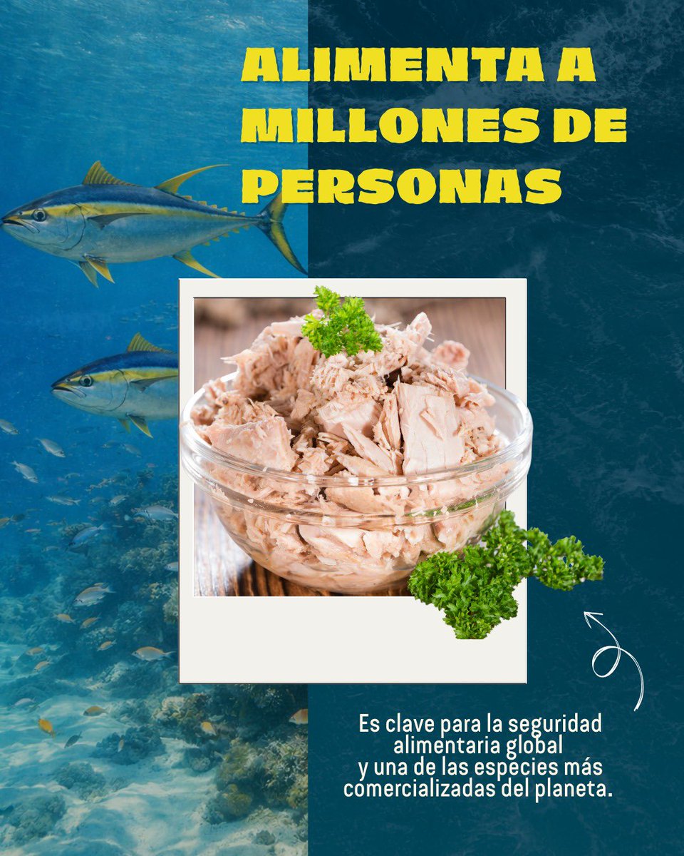 ATUNEC EC tweet media