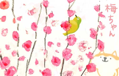 1日おきメモ（中原じゅん子） tweet media