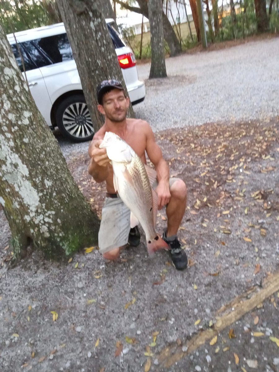 Straight Guys for Gay Eyes tweet media