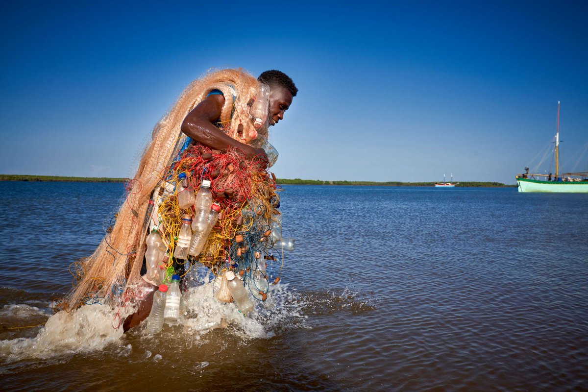 WWF Climate & Energy tweet media