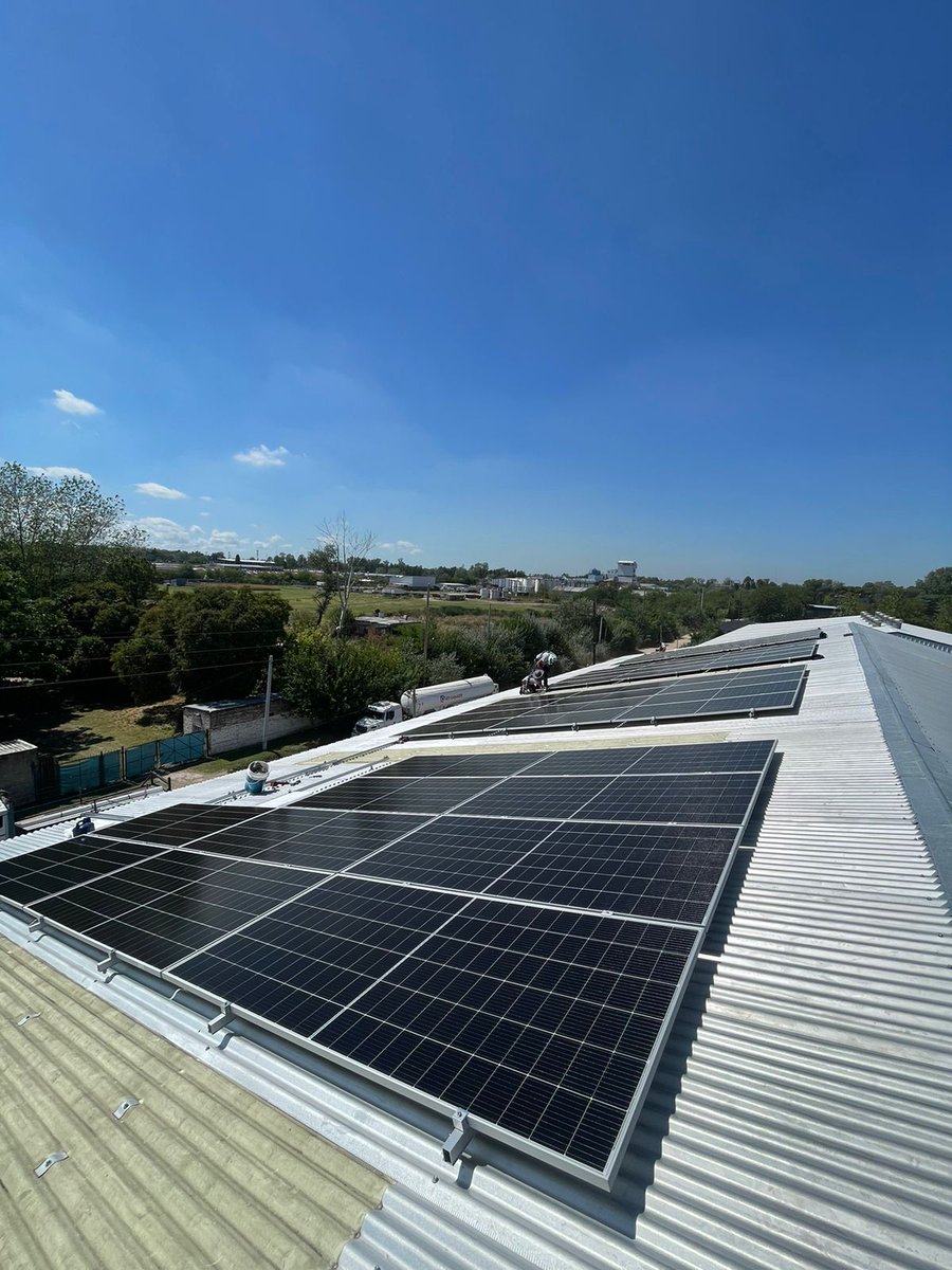 Ariel Mesch tweet media