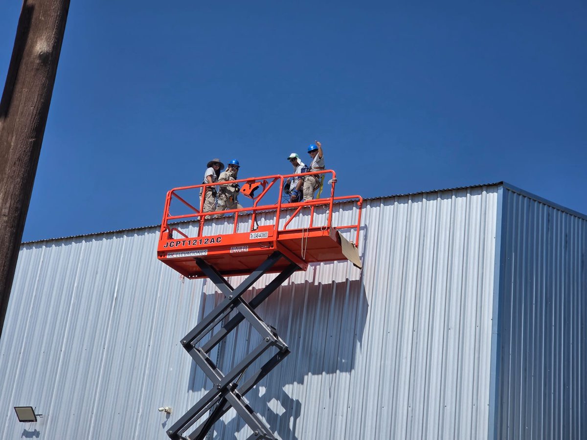 Ariel Mesch tweet media