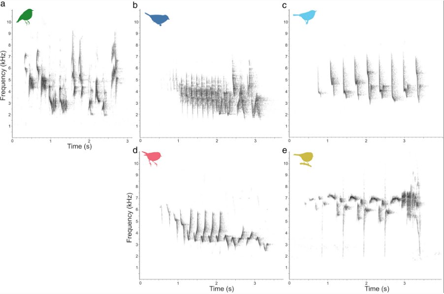 Behavioral Ecology tweet media