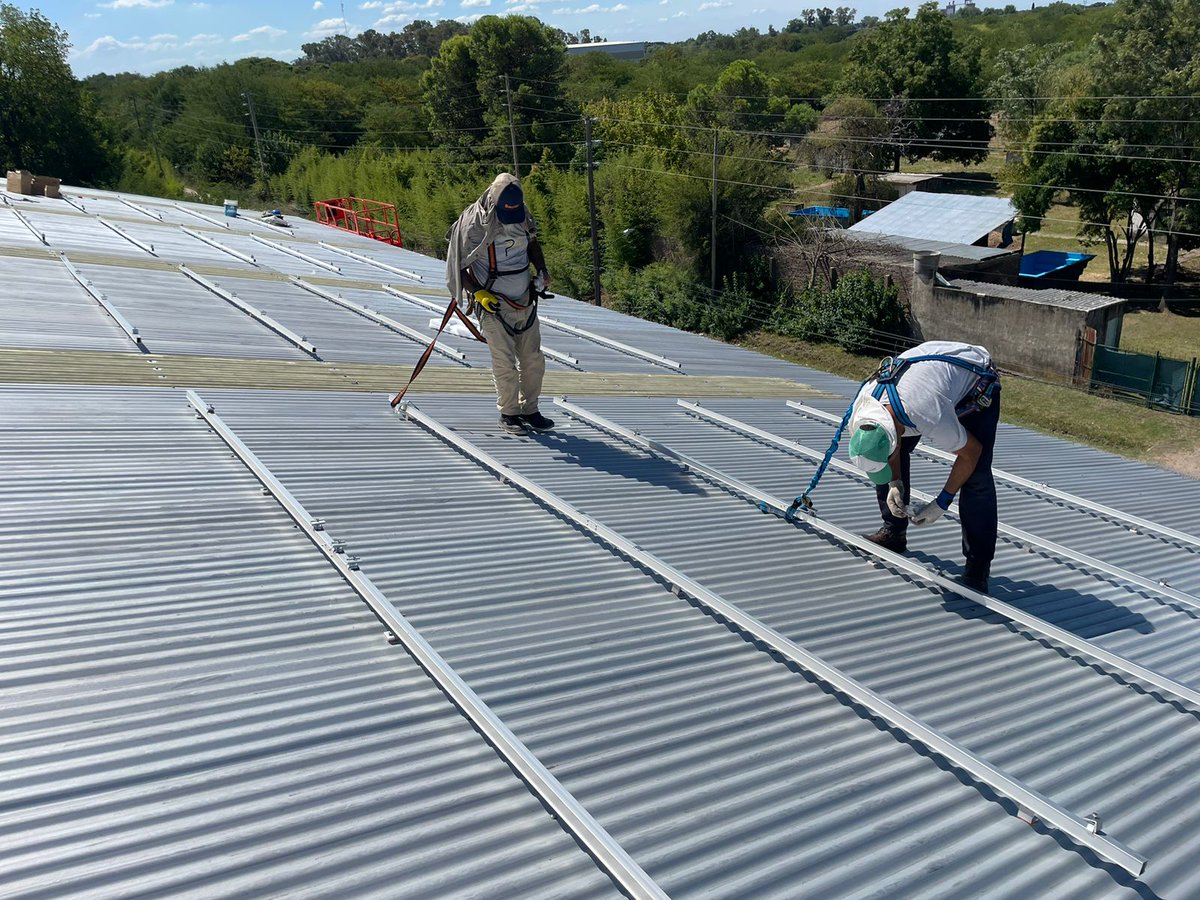 Ariel Mesch tweet media