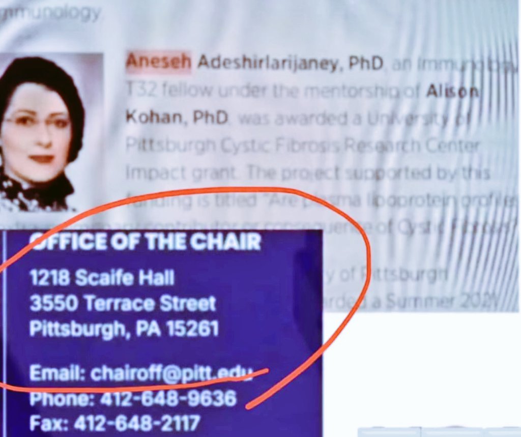 Libertad 🜲 tweet media