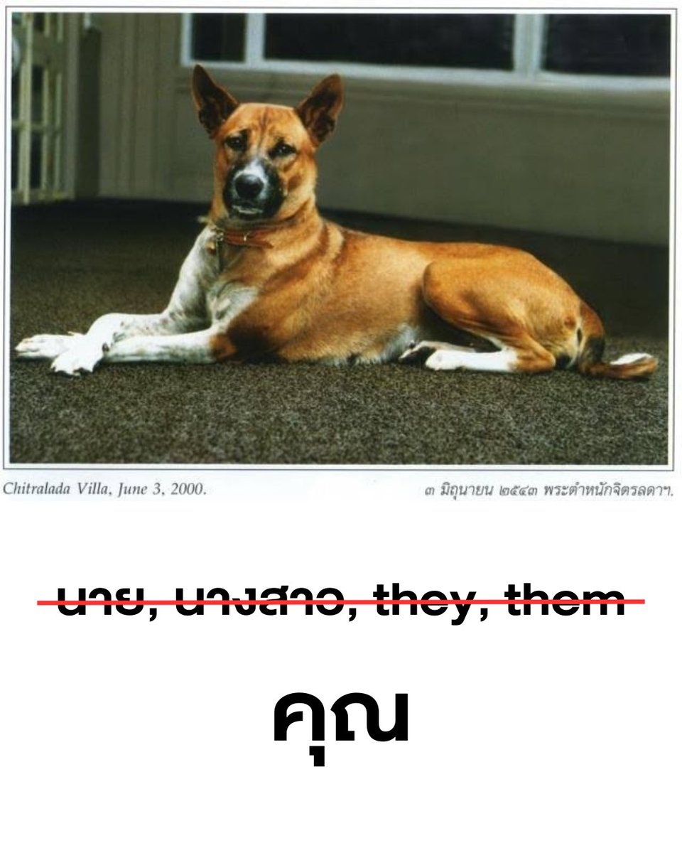 เลิกเถียงกันค่ะ