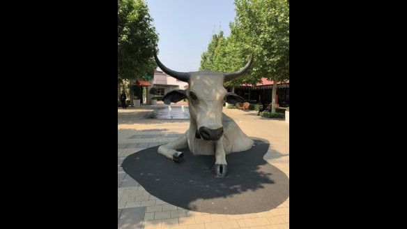 Metropolitics tweet media