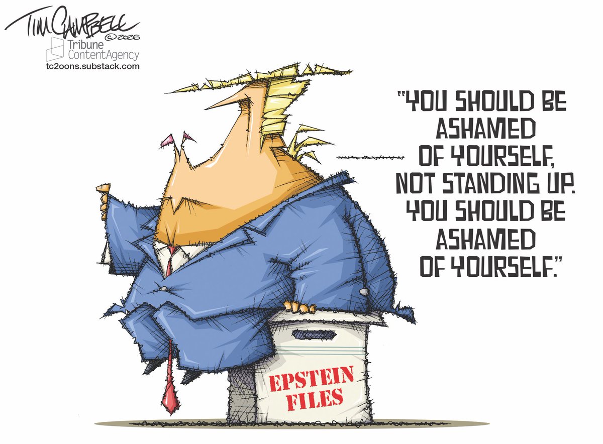 Tim Campbell tweet media