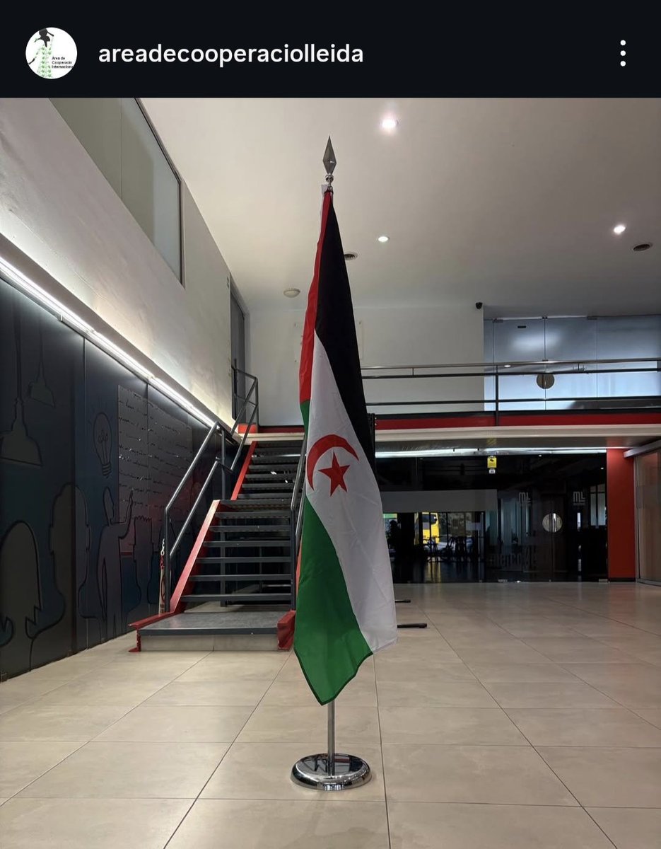 Sahara Ponent 🇪🇭 tweet media