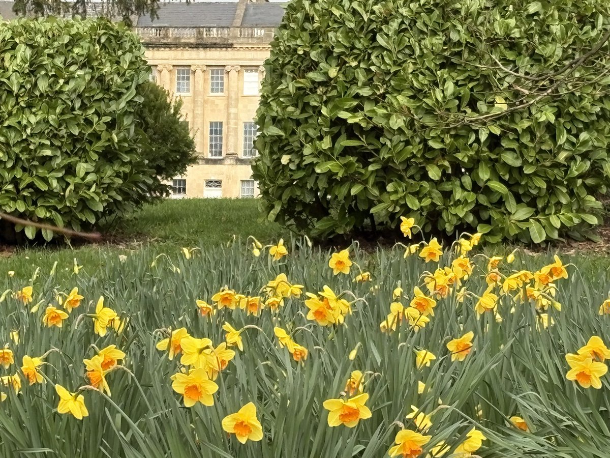 Finn 🌈 tweet media