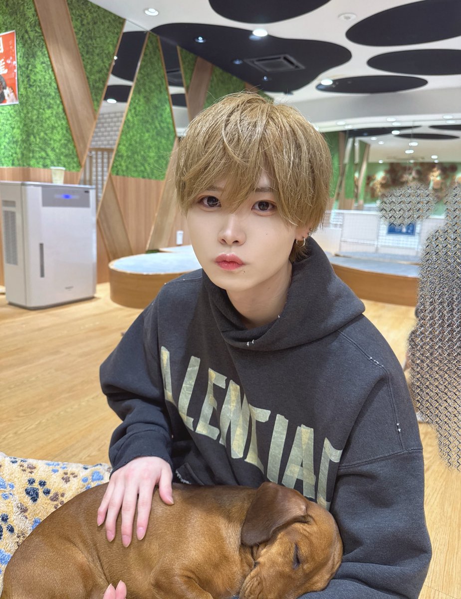 わんわん！とにゃんにゃん！