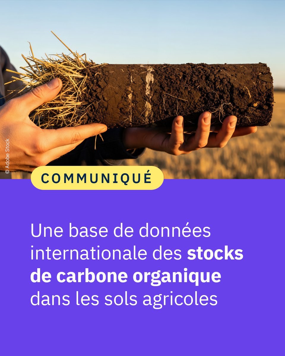 CNRS 🌍 tweet media
