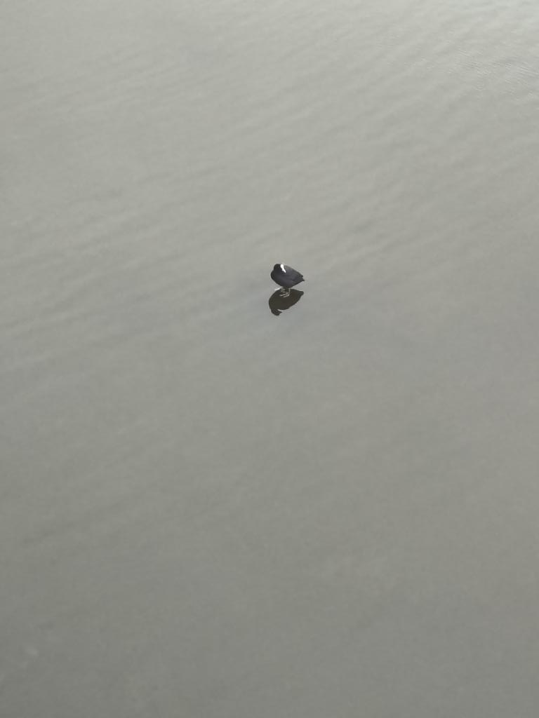 Wat Jezus kon kan ik ook...