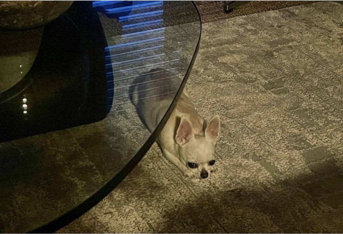 Romulus Maya tweet media