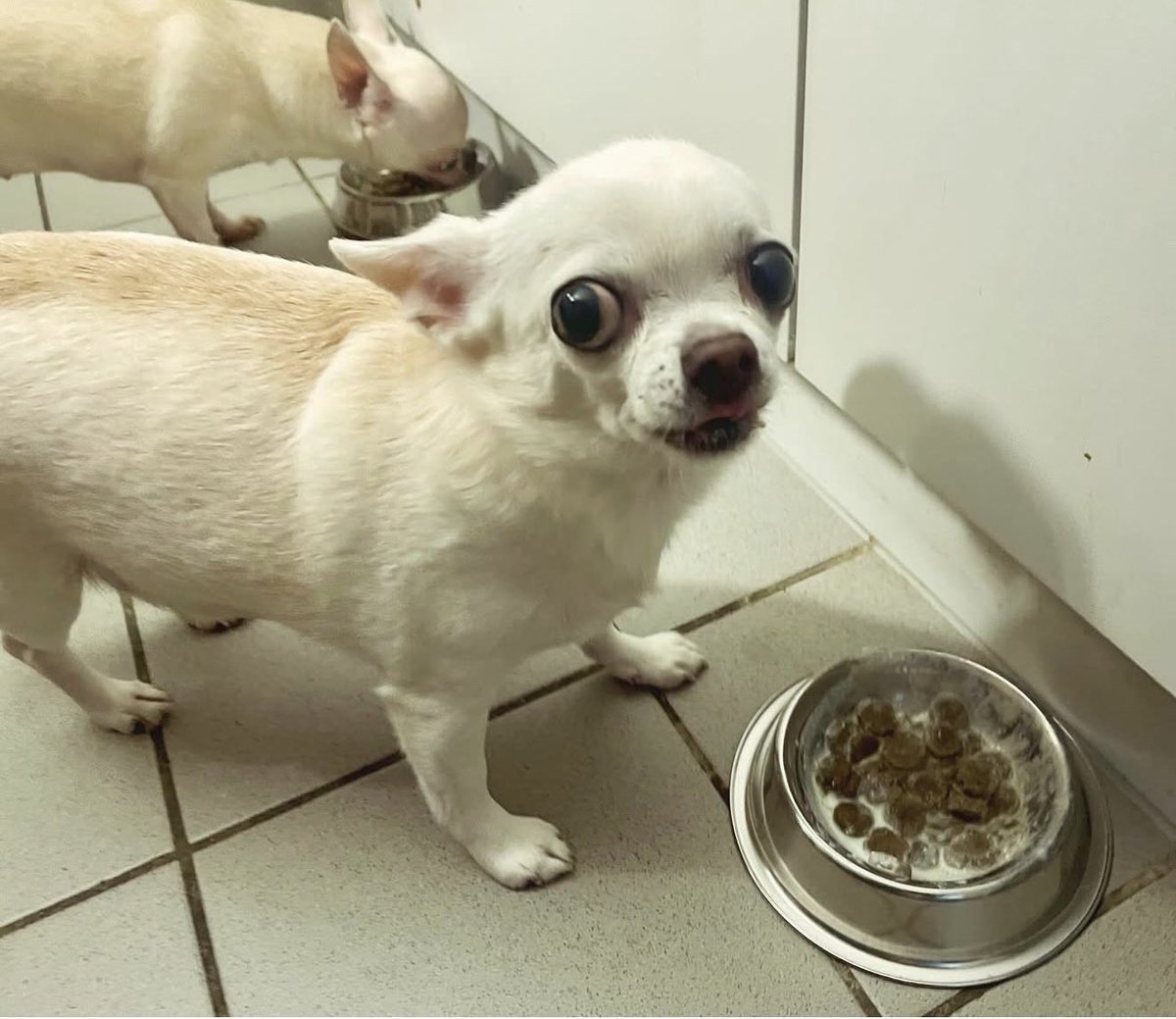 Romulus Maya tweet media