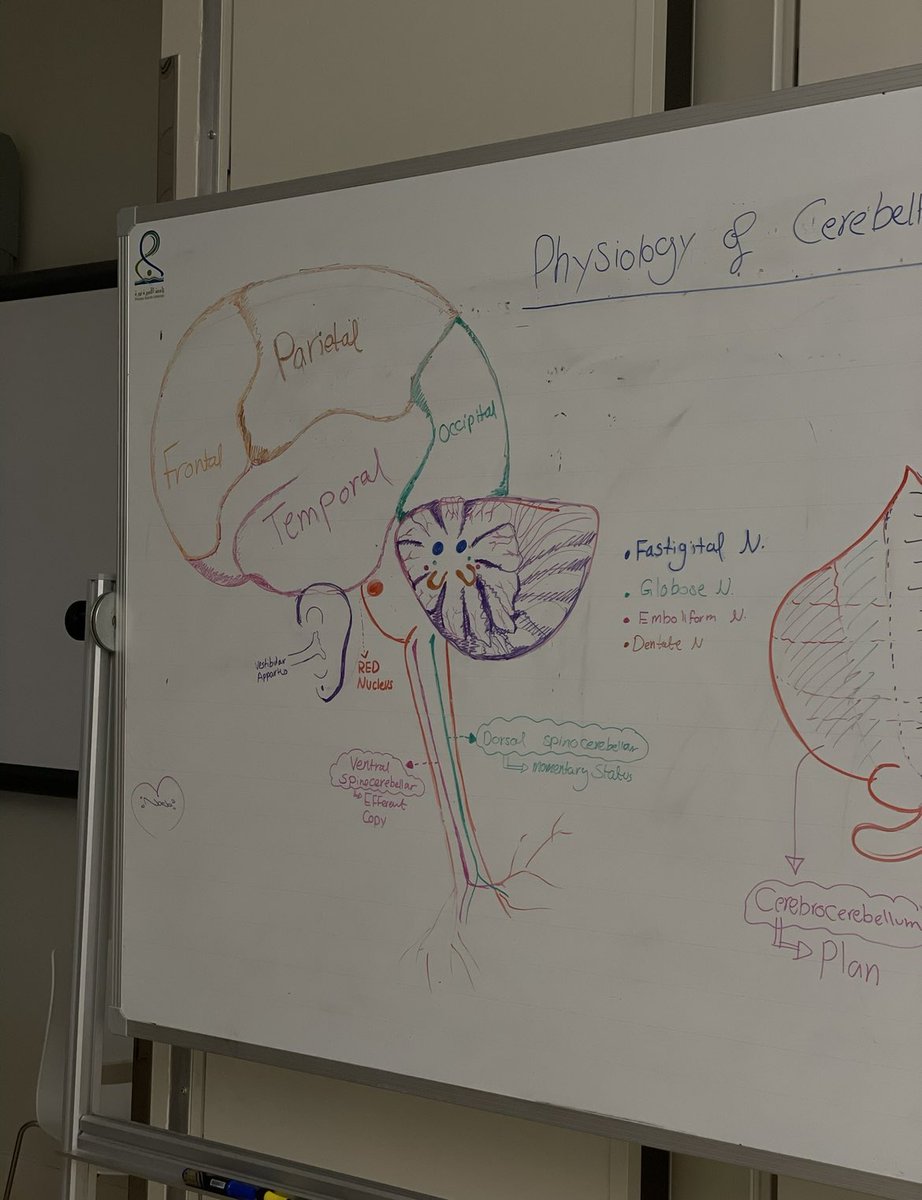 🌻ماريـّه tweet media