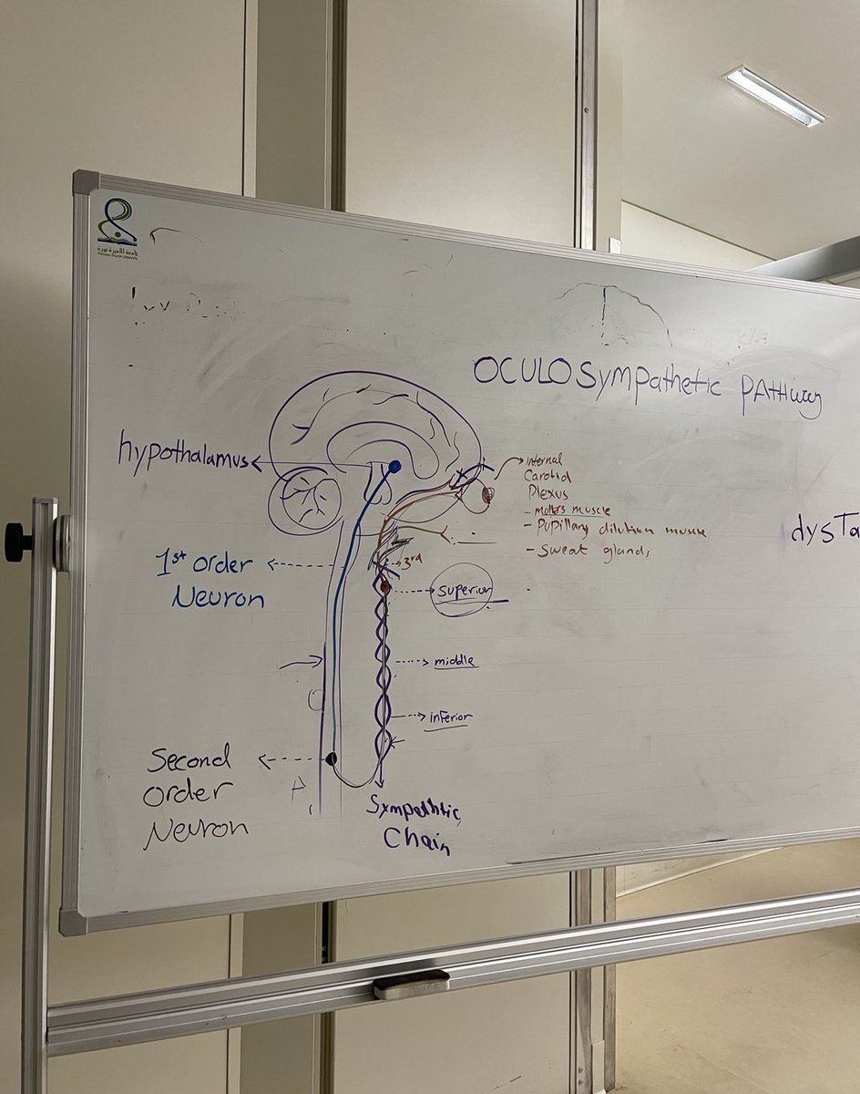 🌻ماريـّه tweet media