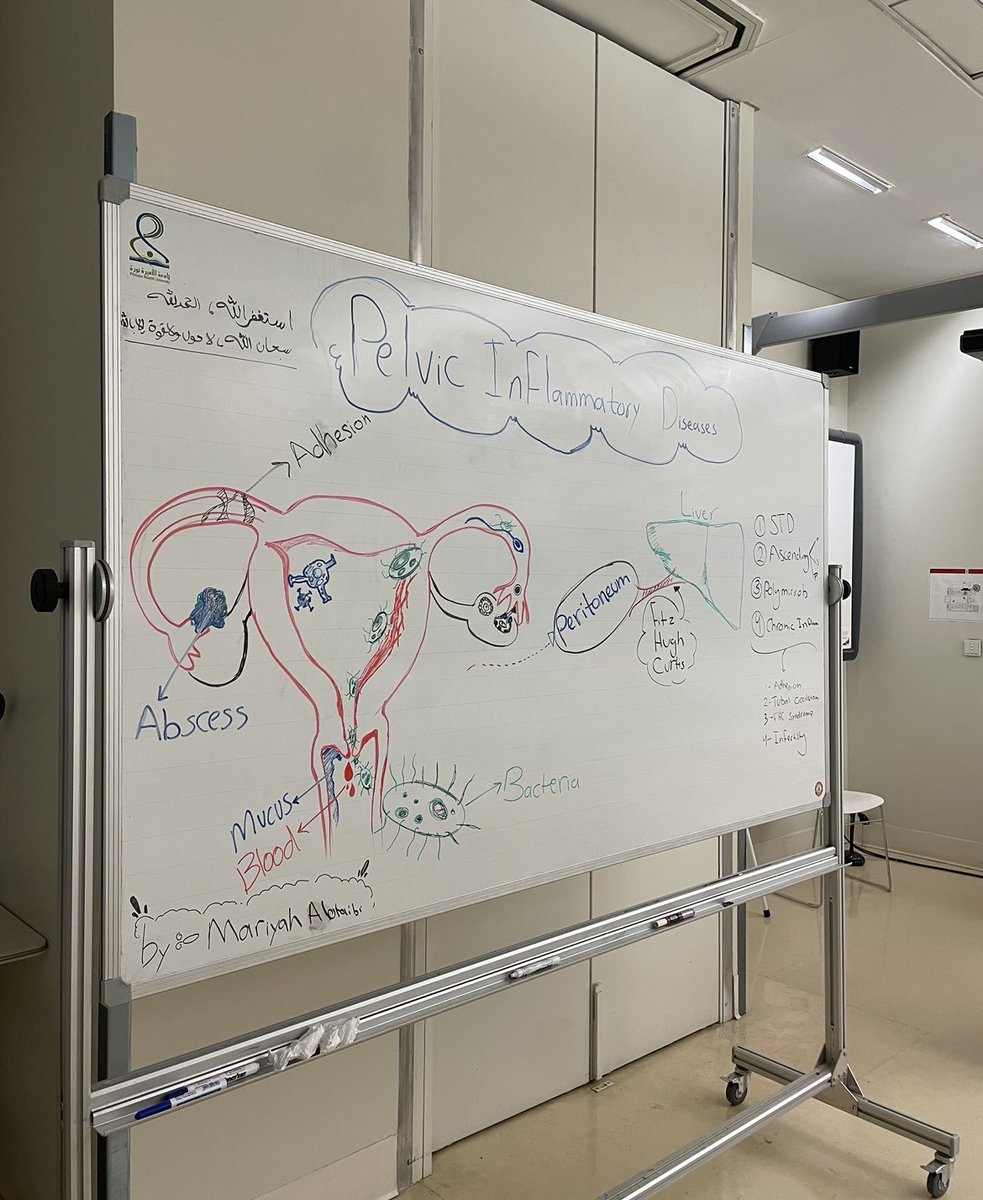 🌻ماريـّه tweet media