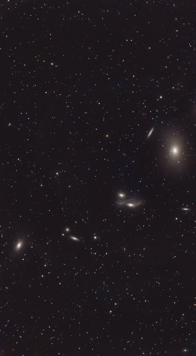 Scotia Astro tweet media