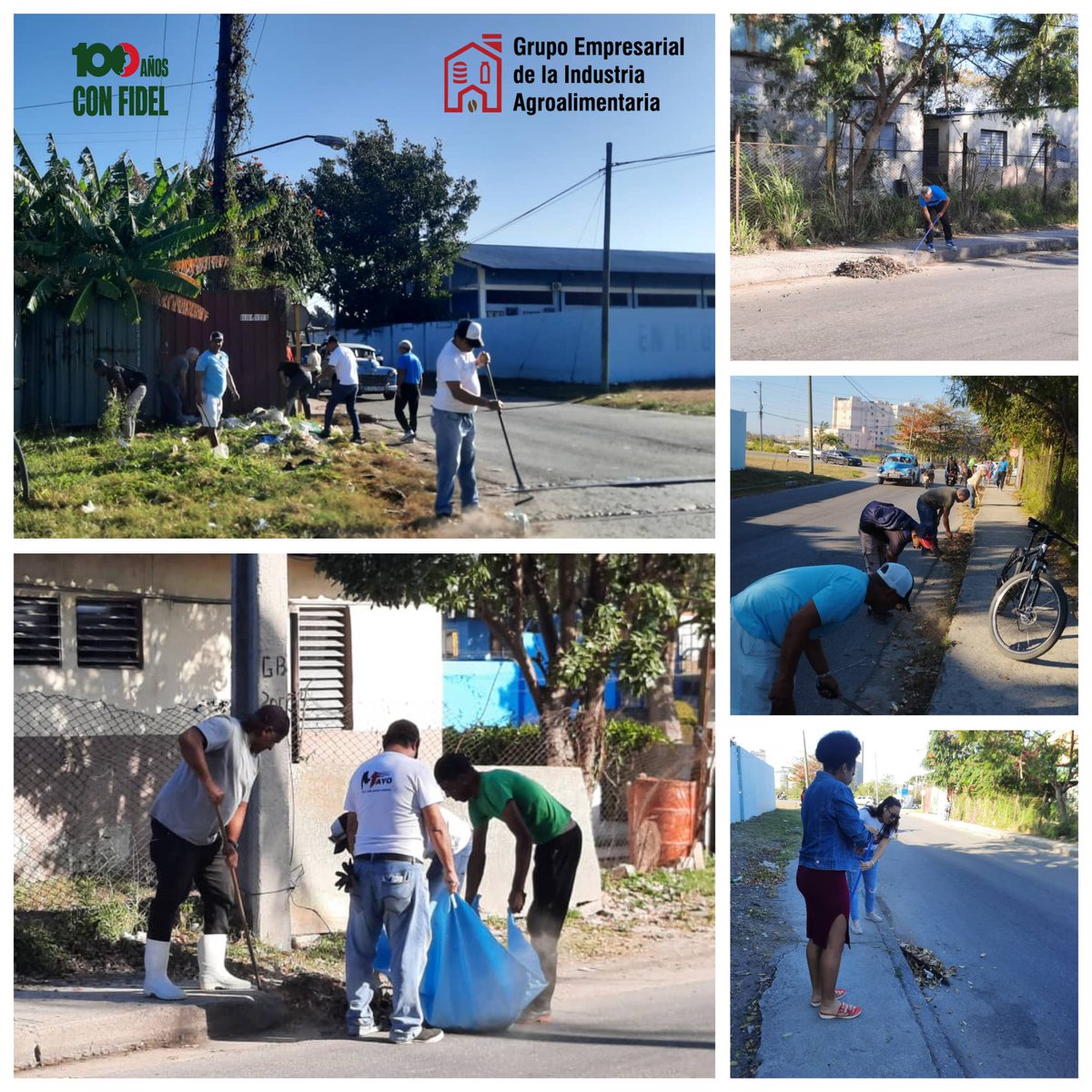 Desde bien temprano el <a href="/grupo_agroalim/">Grupo Empresarial de la Industria Agroalimentaria</a> y las Empresas de la Capital, realizan trabajo de limpieza en la #SierraChiquita, Regla.
#UnidosXCuba 
#AgroalimPorCuba 🇨🇺