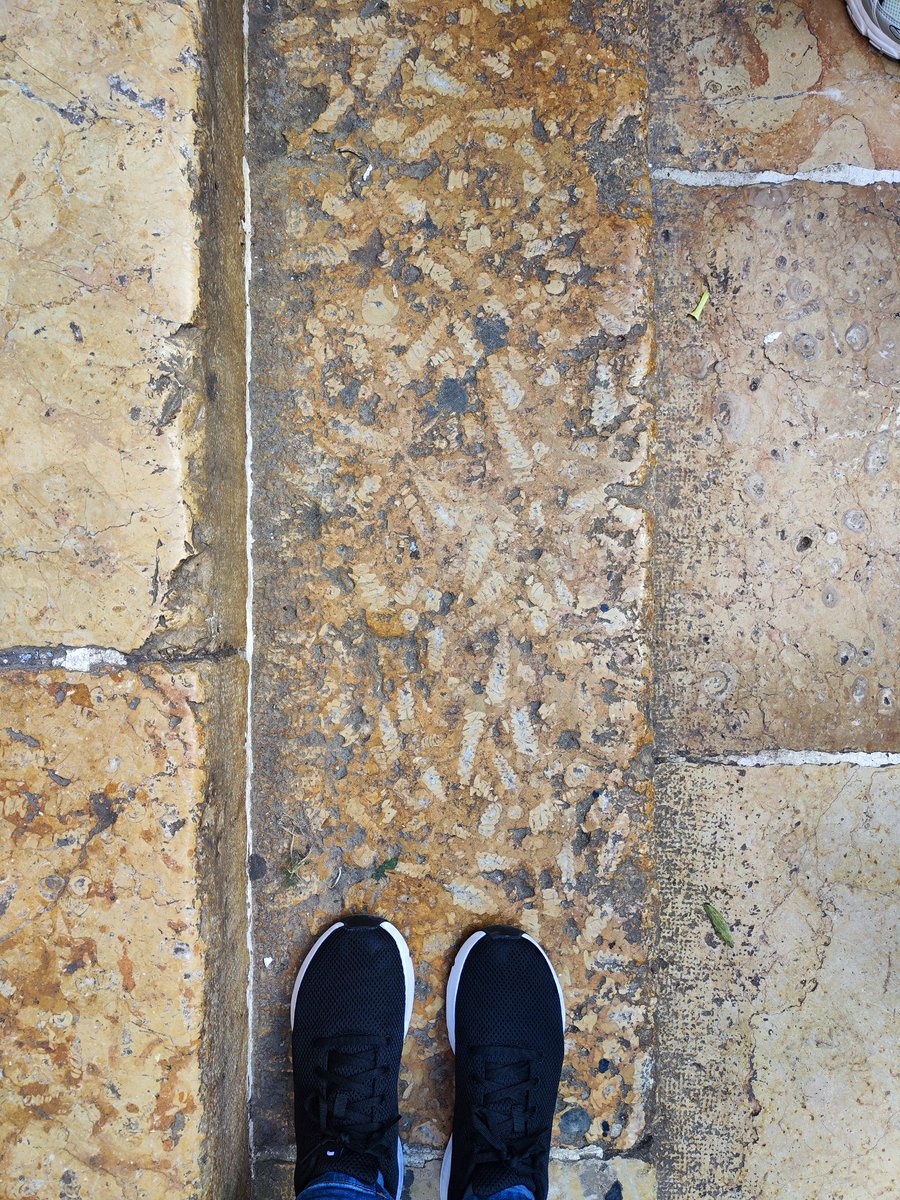 Alicia Giner tweet media